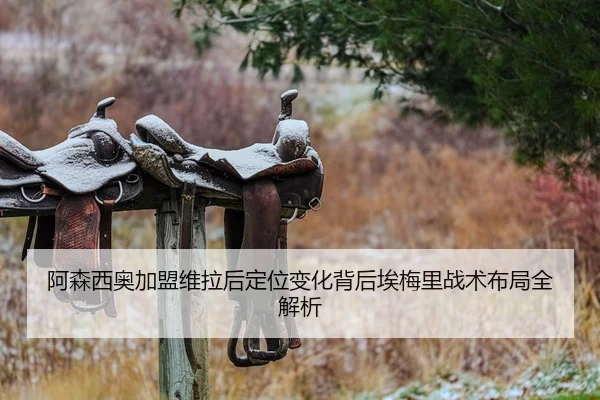 阿森西奥加盟维拉后定位变化背后埃梅里战术布局全解析